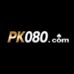 pk080 Game Download