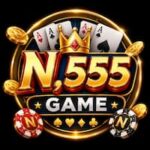 n.555 Game