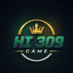 hi 309 Game